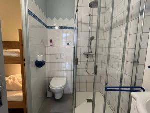 łazienka z prysznicem i toaletą w obiekcie Appartement T2 bis Cauterets - 50m télécabine et Thermes - 4/6 pers - parking gratuit - FR-1-234-300 w mieście Cauterets