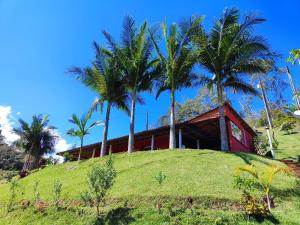 a house on top of a hill with palm trees at Chácara Nefer Akhet in Domingos Martins