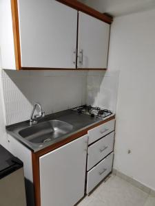 Elle comprend une petite cuisine avec un évier et des placards blancs. dans l'établissement Cómodo estudio vía termales, à Santa Rosa de Cabal