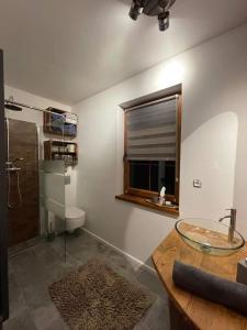 a bathroom with a glass sink and a shower at Dom Na Wsi 