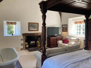 1 dormitorio con cama, TV y chimenea en Worthy Manor, en Culbone