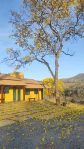 un edificio amarillo con un árbol y un banco en Chalés Ipê do Lago, en Capitólio