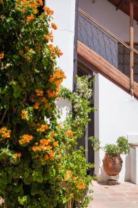 une plante avec des fleurs orange à côté d'un bâtiment dans l'établissement Wasi, à Sucre