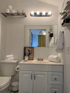 a bathroom with a sink and a toilet and a mirror at Luxury Suite by Tampa Convention Center & Hospital in Tampa