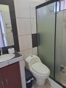 a bathroom with a toilet and a sink and a shower at Departamento para 3 personas in Cochabamba