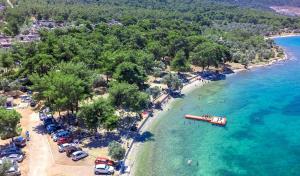 an aerial view of a beach with a boat in the water at RiLen-House in Akbük