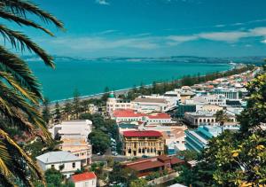 vista su una città con una cassa d'acqua di The County Hotel a Napier