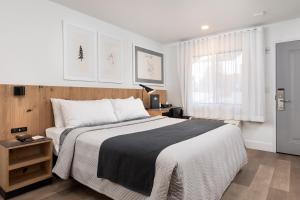 a bedroom with a large bed and a window at Hotel Lumberjack in Sonora