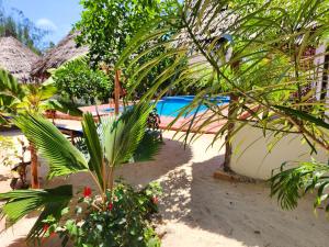 un complexe avec une piscine et un palmier dans l'établissement Mkeka Spice Lodge Jambiani, à Jambiani