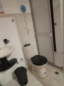 a bathroom with a toilet and a sink and a shower at Alojamiento Panamericano San Miguel in El Bordo