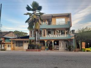 a house with a palm tree in front of it at Alojamiento Panamericano San Miguel in El Bordo