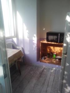 a living room with a fireplace with a microwave at Женский Hostel Dvor in Odesa