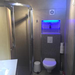 a bathroom with a shower with a toilet and a sink at Leilighet 1 og 2 - Mandal, Norges sørligste kommune in Ime