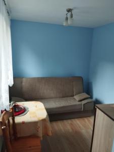 ein Wohnzimmer mit einem Sofa und einem Tisch in der Unterkunft Pokoje gościnne u Steni in Kudowa-Zdrój