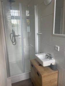 y baño con ducha y lavamanos. en Gemütliches Appartement "Nina" in Halle en Rusches Hof