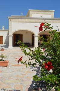 Zahrada ubytování Le Terrazze Miramare B&B