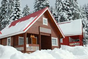 una cabaña de madera en la nieve con árboles en Alpine ski chalet Borovets with sauna en Borovets