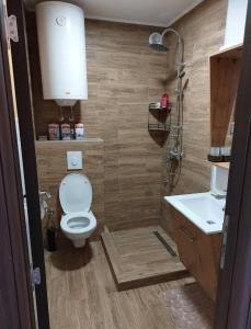 a bathroom with a toilet and a sink at Seosko domacinstvo Nedic in Valjevo