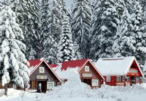 a red cabin in the snow with snow covered trees at Alpine ski chalet Borovets with sauna in Borovets