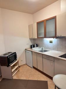 a kitchen with a sink and a microwave at Flora Apartment 423 in Borovets