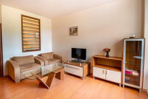 a living room with a couch and a television at Flora Apartment 423 in Borovets