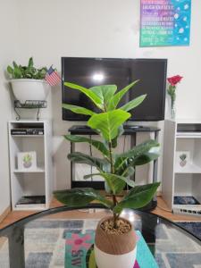 Galeriebild der Unterkunft RJN in Fairbanks