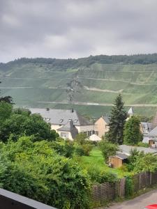 - une vue sur un village avec des maisons et des vignobles dans l'établissement Gästezimmer Bernkastel - Gästehaus Barbara, à Bernkastel-Kues