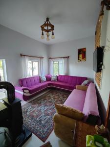 sala de estar con sofá púrpura y alfombra en Cosy Cottage with fireplace and garden - Close to City centre and Skii Resort, en Melikgazi