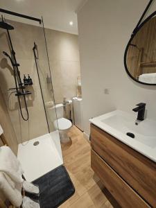 a bathroom with a shower and a sink and a toilet at Studio Saint-Laurent-Du-Var 50m de la mer in Saint-Laurent-du-Var