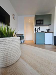 a living room with a kitchen and a table with a plant at Studio Saint-Laurent-Du-Var 50m de la mer in Saint-Laurent-du-Var