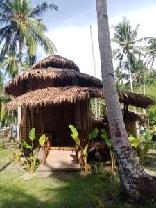 a hut with a palm tree and a palm tree at Prince John beachfront cottages and Restaurant in San Vicente