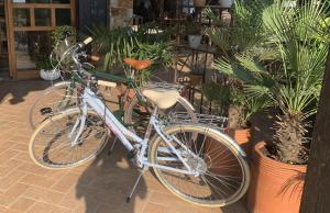 una bicicletta è parcheggiata accanto ad alcune piante di Hotel Bio a Capodistria