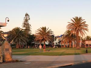 a man walking a dog in a park with palm trees at Beaufort House in Port Noarlunga