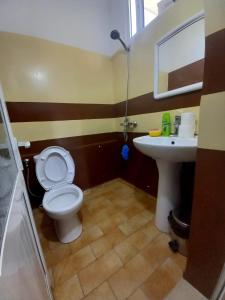 La salle de bains est pourvue de toilettes et d'un lavabo. dans l'établissement GuestHouseMantho, à Gjirokastër