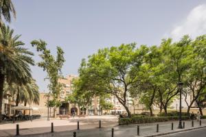 a park in a city with trees and buildings at Macflats Ciudad de las Ciencias in Valencia