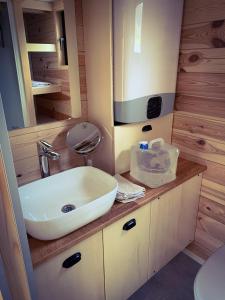 uma casa de banho com um lavatório branco e um espelho. em Zum Wilden Michel em Oberlinach