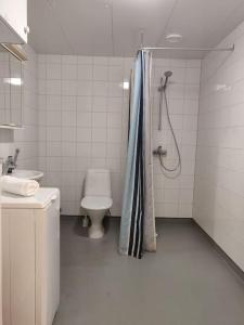 a bathroom with a toilet and a shower and a sink at Kotimaailma - Avara ja kodikas Studio kahdelle in Helsinki