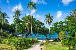 Ban Raya Resort and Spa في كو راشا ياي: طريق إلى الشاطئ مع أشجار النخيل والمحيط