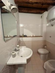 a white bathroom with a sink and a toilet at Le Siepi Country House in Santo Stefano di Sessanio