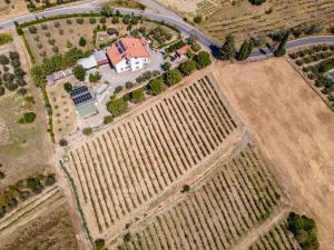 an aerial view of a house in a vineyard at Sole Verde green house in Terricciola
