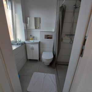 a small bathroom with a toilet and a sink at Pod Żurawiem Stegna in Stegna