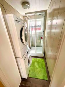 a laundry room with a washing machine and a green rug at Apartment-A near Etne-Odda in Etnesjøen