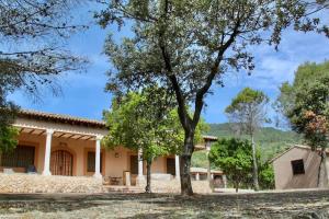 a house with a tree in front of it at Casa Rural La Joyona in Los Navalucillos