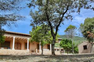 una casa con un árbol delante en Casa Rural La Joyona, en Los Navalucillos