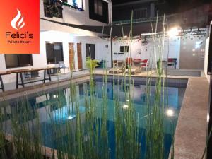a swimming pool with tall grass in a building at Felici's Private Resort in Los Baños