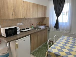 a kitchen with a sink and a microwave on a counter at Aba-Böbe Vendégház in Zalaszentiván