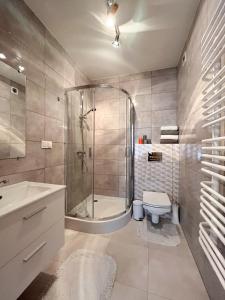 een badkamer met een douche, een toilet en een wastafel bij Zubrzyckie Pokoje in Zubrzyca Dolna