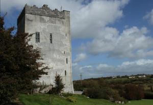 een hoog gebouw op een groen veld bij Ballindooley Castle in Galway