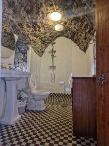 een badkamer met een toilet, een wastafel en een douche bij Ballindooley Castle in Galway