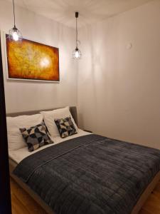 sypialnia z łóżkiem z 2 poduszkami w obiekcie Maestria Apartament 1 w mieście Sulechów